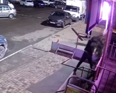 Нового года не будет. Неизвестный украл ёлку у жителей Воронежа (ВИДЕО)