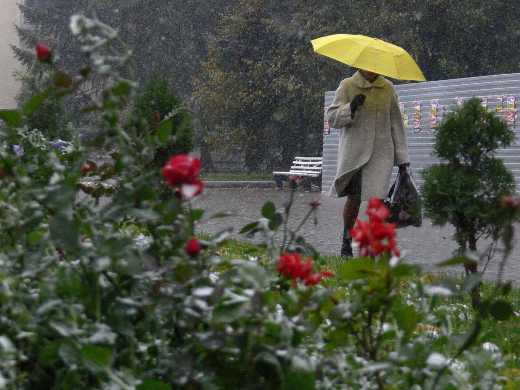 Прогноз погоды в&nbsp;Воронеже на&nbsp;понедельник, 8 декабря