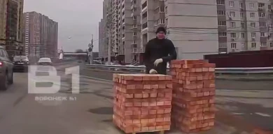 Неожиданное препятствие обескуражило воронежского водителя (ВИДЕО)