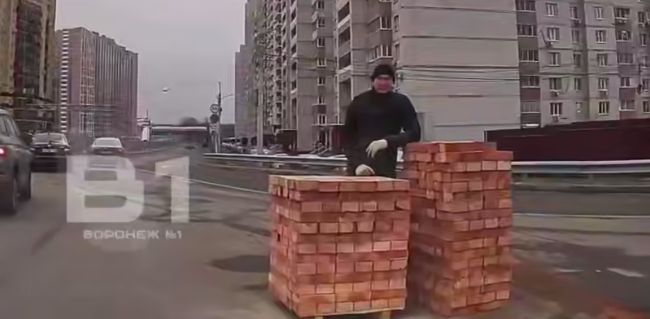 Неожиданное препятствие обескуражило воронежского водителя (ВИДЕО)