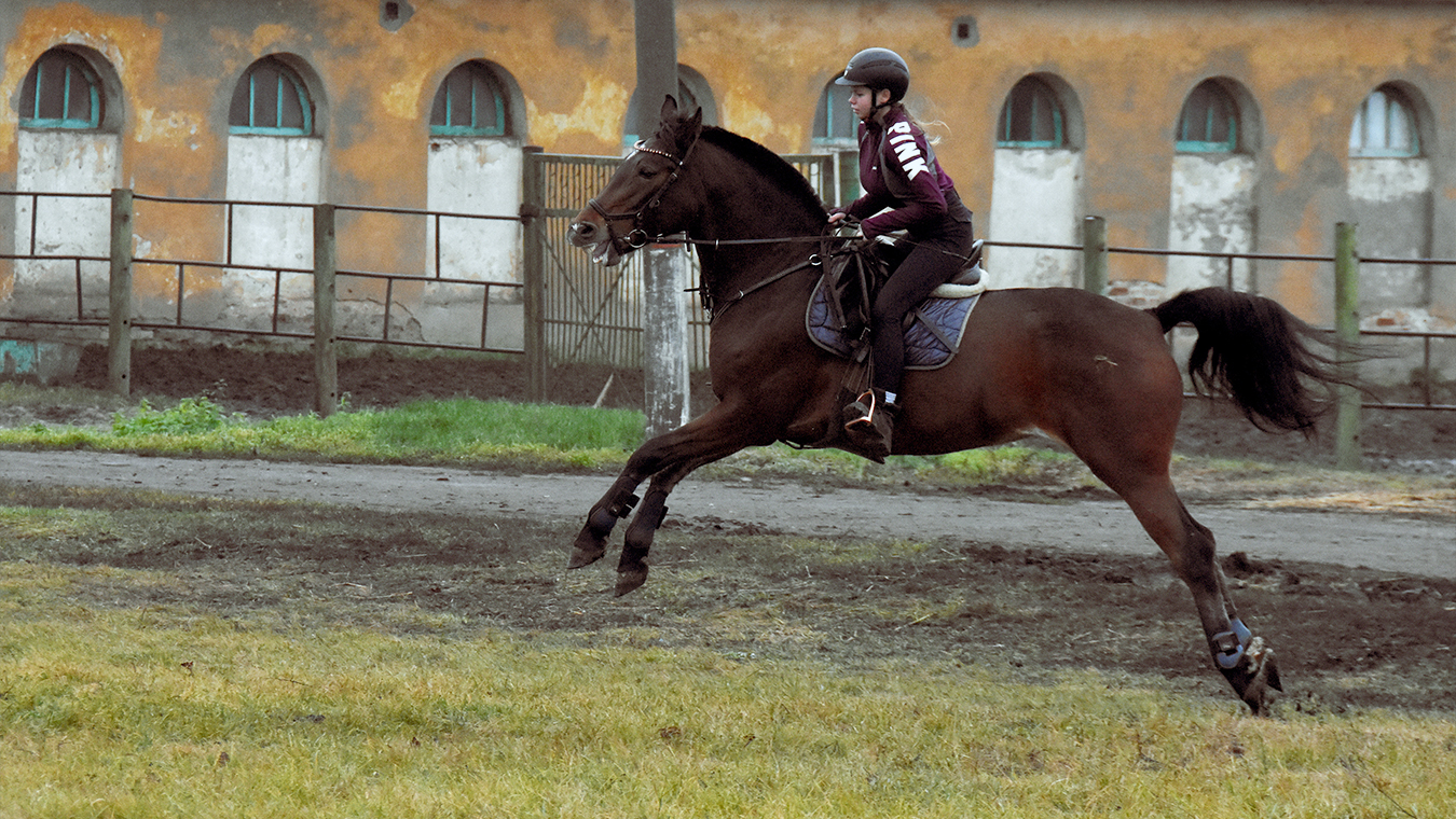 Резвость — норма жизни