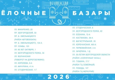 В Белгороде легально можно купить елки к Новому году по 22 адресам