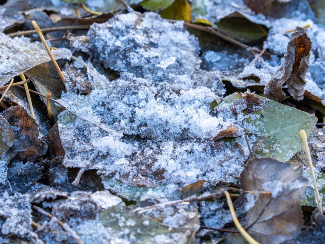 Прогноз погоды в Воронеже на четверг, 11 декабря&nbsp;