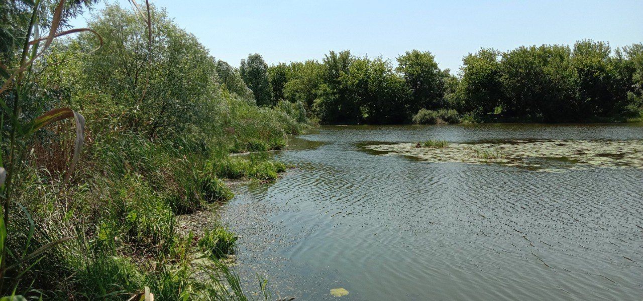 Новые страсти разгорелись вокруг озера Круглое под&nbsp;Воронежем