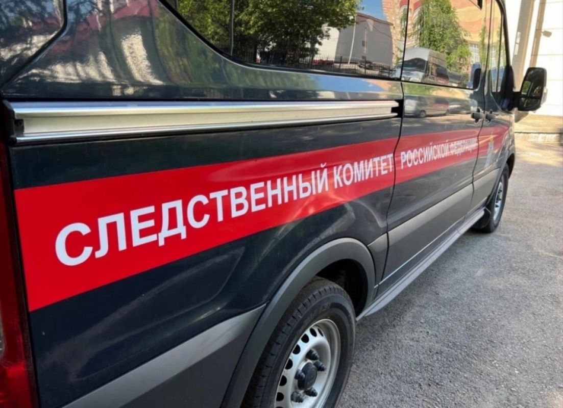 Бастрыкин запросил отчёт по делу о нарушении прав ребёнка в Липецкой области