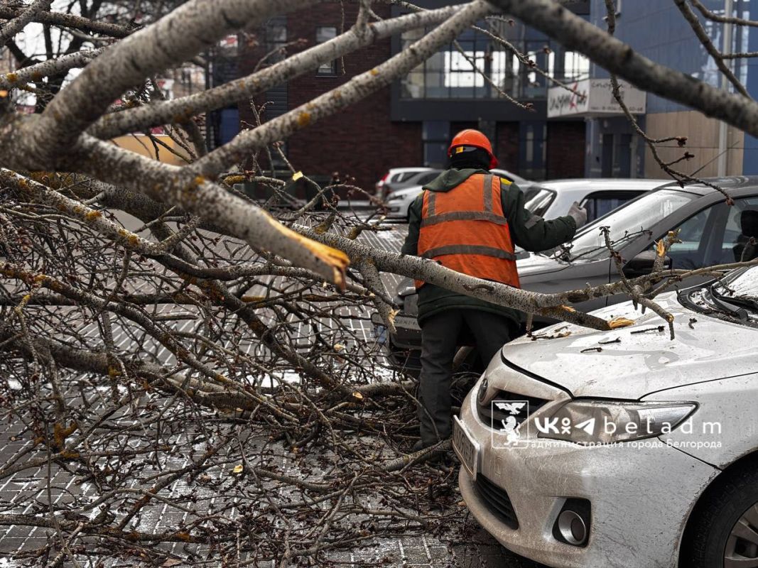 Коммунальщики Белгорода будут ликвидировать последствия урагана еще три дня&nbsp;