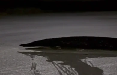 О провалившемся под лёд ребёнке сообщили воронежцы