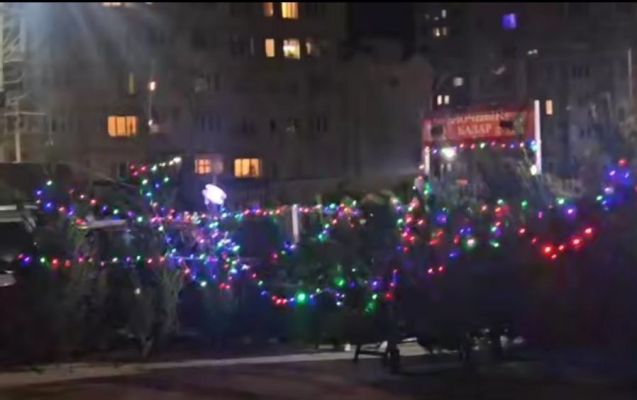 Первые ёлочные базары открылись в Воронеже 