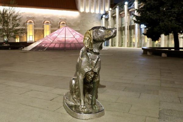 В Воронеже памятник Белому Биму представили в новом свете 