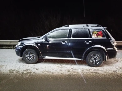 Жёсткое лобовое ДТП с иномарками случилось под Воронежем: ранены люди 