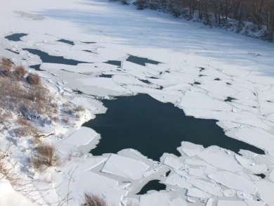 Выяснились подробности гибели 9-летнего мальчика под Воронежем 