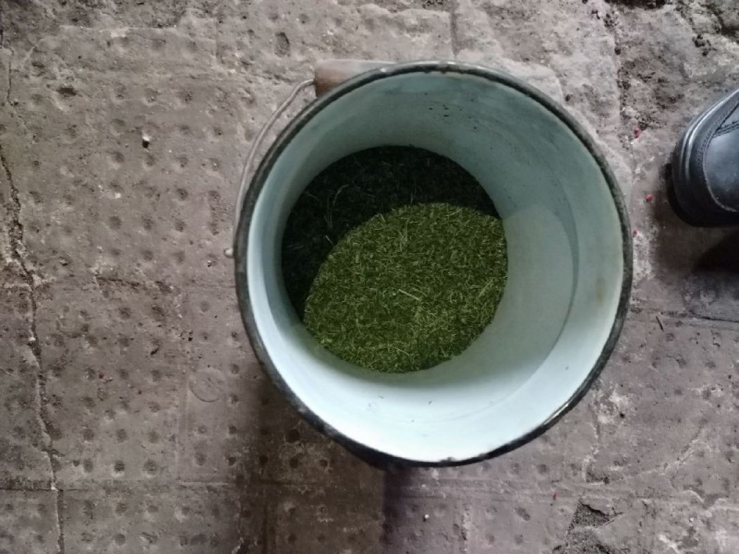 Бидон с&nbsp;«сюрпризом» нашли у жителя Воронежской области