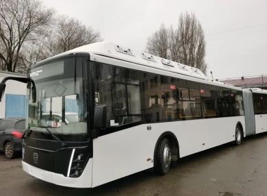 Мечты сбываются. Роскошные автобусы-гармошки, прибывшие в Воронеж, показали на видео