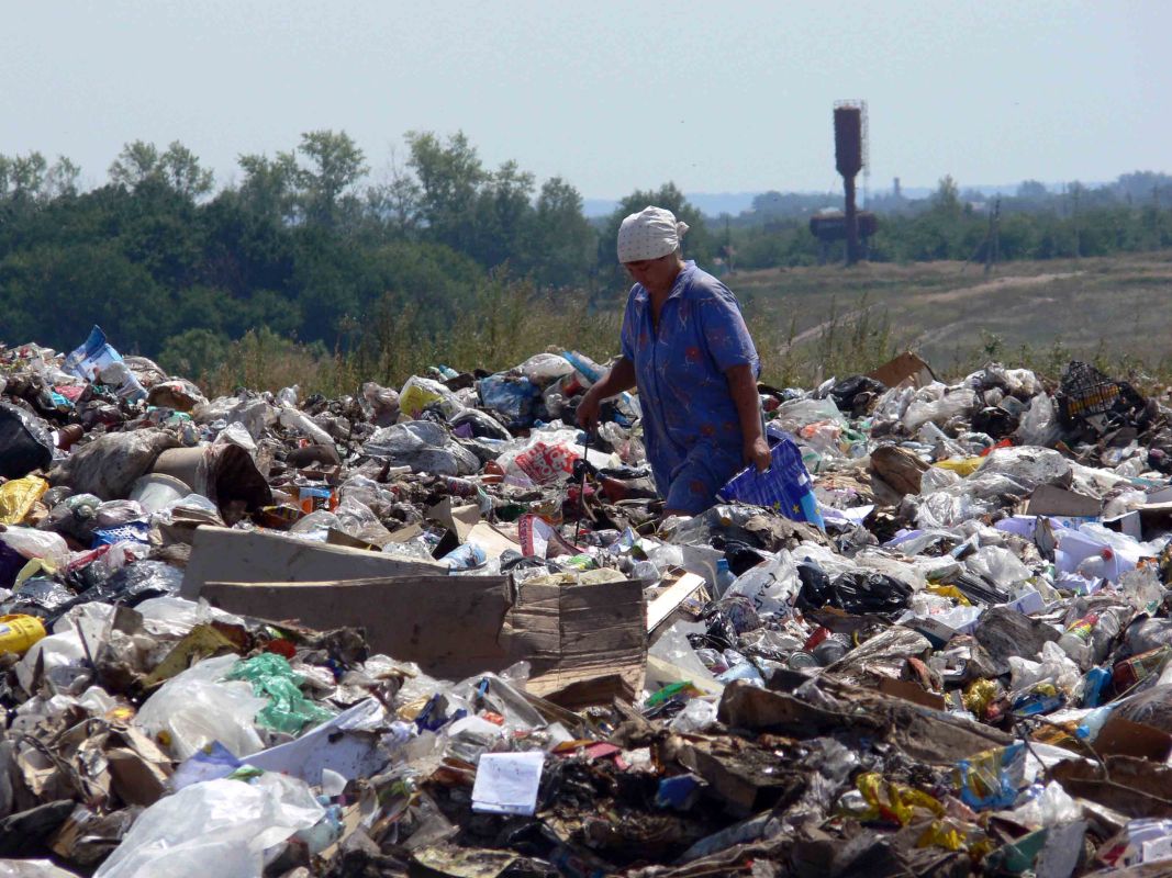 Более 16 млн рублей требуют с&nbsp;властей за свалку под&nbsp;Воронежем