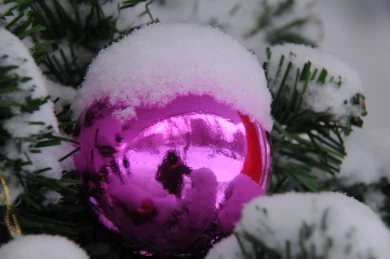 Холода до -5° вернутся в Воронежскую область 