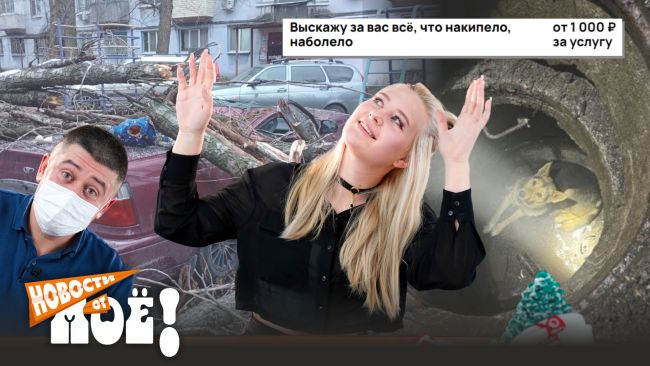 Герой без плаща, диван-беглец и «хамка на час»: чем Воронеж удивил на этой недел...