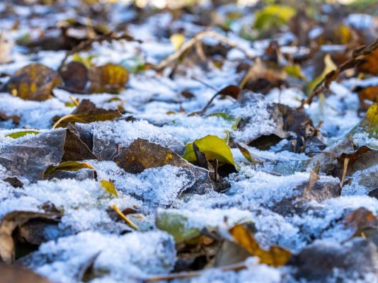 Прогноз погоды в Воронеже на воскресенье, 21 декабря