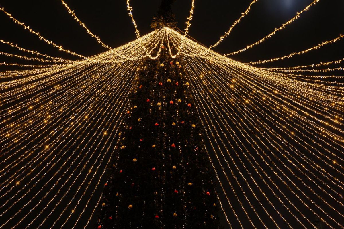 Белгородские власти поставили под сомнение проведение новогодних праздников