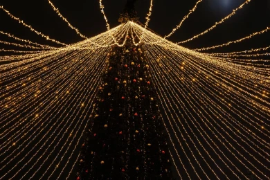 Белгородские власти поставили под сомнение проведение новогодних праздников