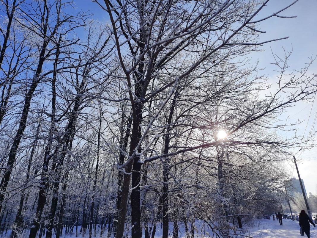 Прогноз погоды в Воронеже на понедельник, 22 декабря