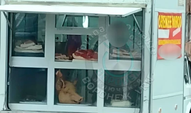 «Ребёнок в шоке». Отрубленная голова до жути напугала школьника в Воронеже