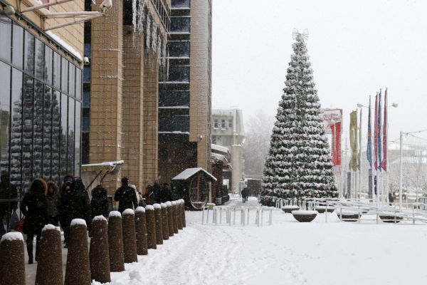 20-градусные морозы ударят в Воронежской области в ближайшее время 