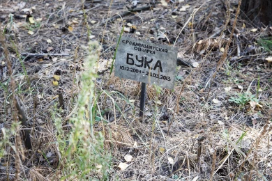 «Один вопрос — зачем?» Воронежцы сообщили об ужасном инциденте на кладбище