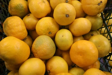 Воронежцам рассказали, как правильно выбрать мандарины