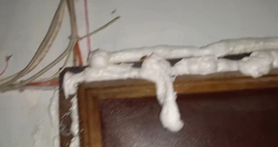 Воронежцы пошли на крайние меры, чтобы избавиться от нашествия тараканов (ВИДЕО)