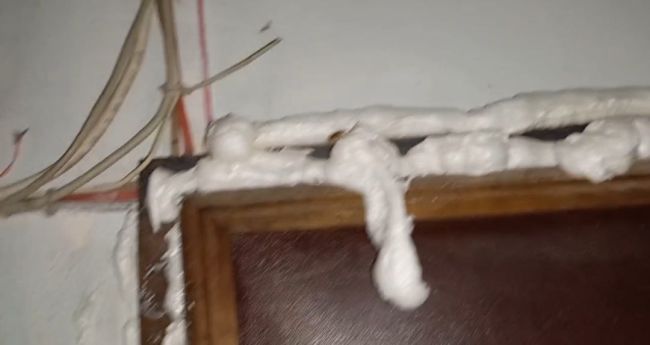 Воронежцы пошли на крайние меры, чтобы избавиться от нашествия тараканов (ВИДЕО)