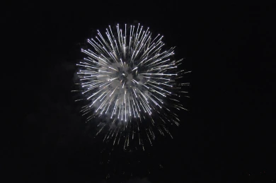 Новость о салютах в новогоднюю ночь взволновала воронежцев 