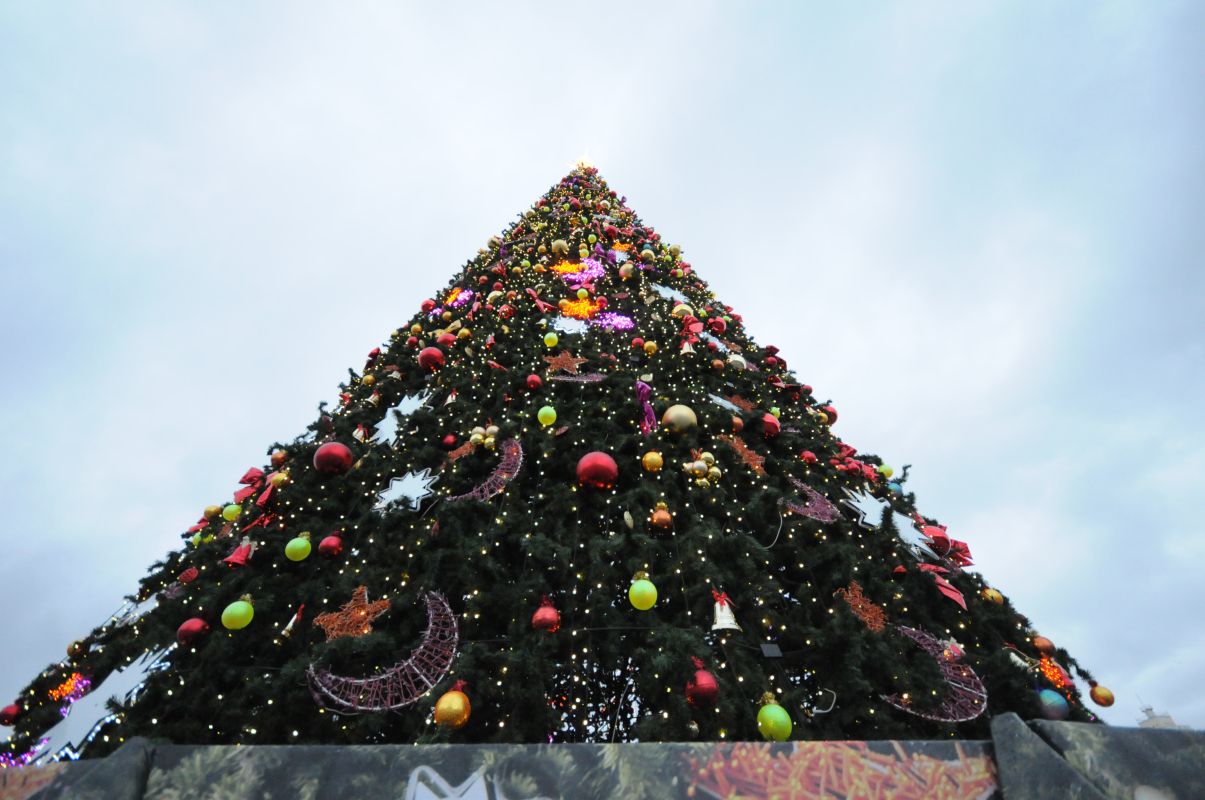 Куда бесплатно сходить на новогодних праздниках в Воронеже