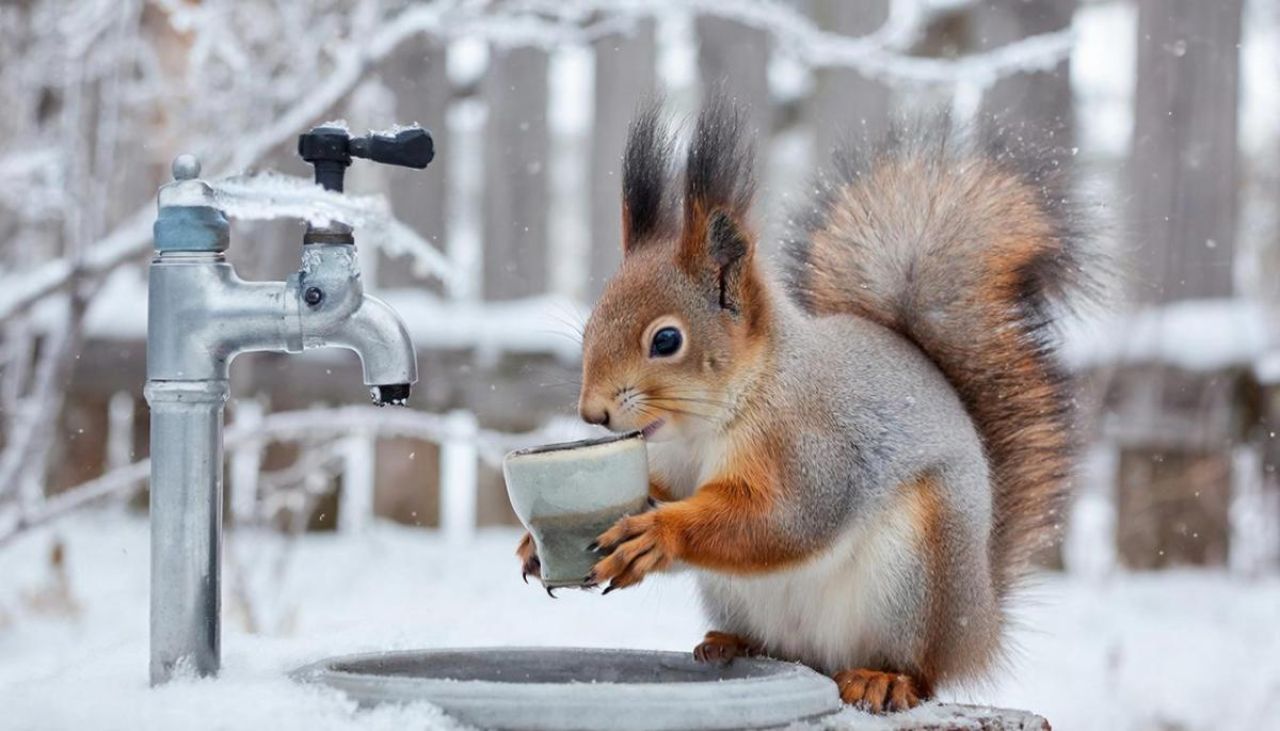 Центр Липецка и прилегающие к нему улицы будут обезвожены 24 декабря