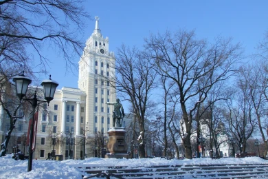 Прогноз погоды в Воронеже на среду, 24 декабря 