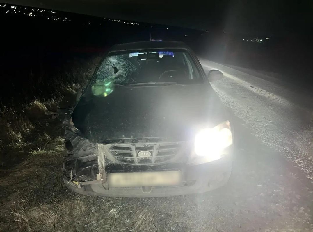 Пешеход погиб под колёсами иномарки на воронежской трассе