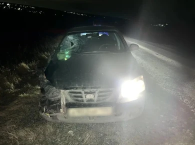 Пешеход погиб под колёсами иномарки на воронежской трассе