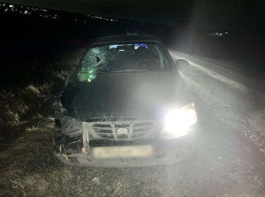 Пешеход погиб под колёсами иномарки на воронежской трассе