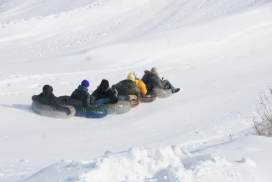 Резкое потепление нагрянет в Воронеж
