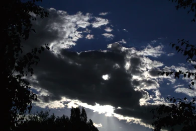 Власти сделали важное заявление после громких звуков в небе над Воронежем