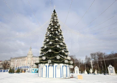Главный воронежский синоптик рассказал о погоде в новогоднюю ночь 