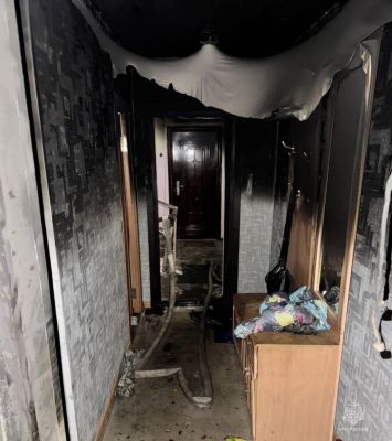 Многодетная семья осталась без квартиры из-за новогодней ёлки