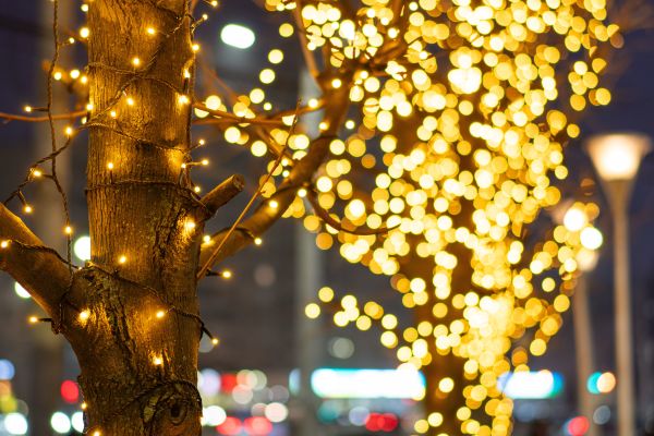 Прогноз погоды в Воронеже на пятницу, 26 декабря 