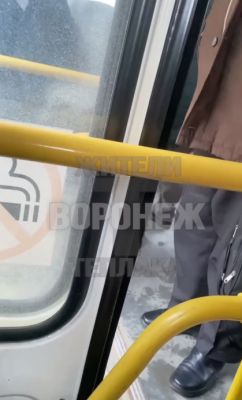 Воронежцы сообщили о водителе автобуса, который избил подростка