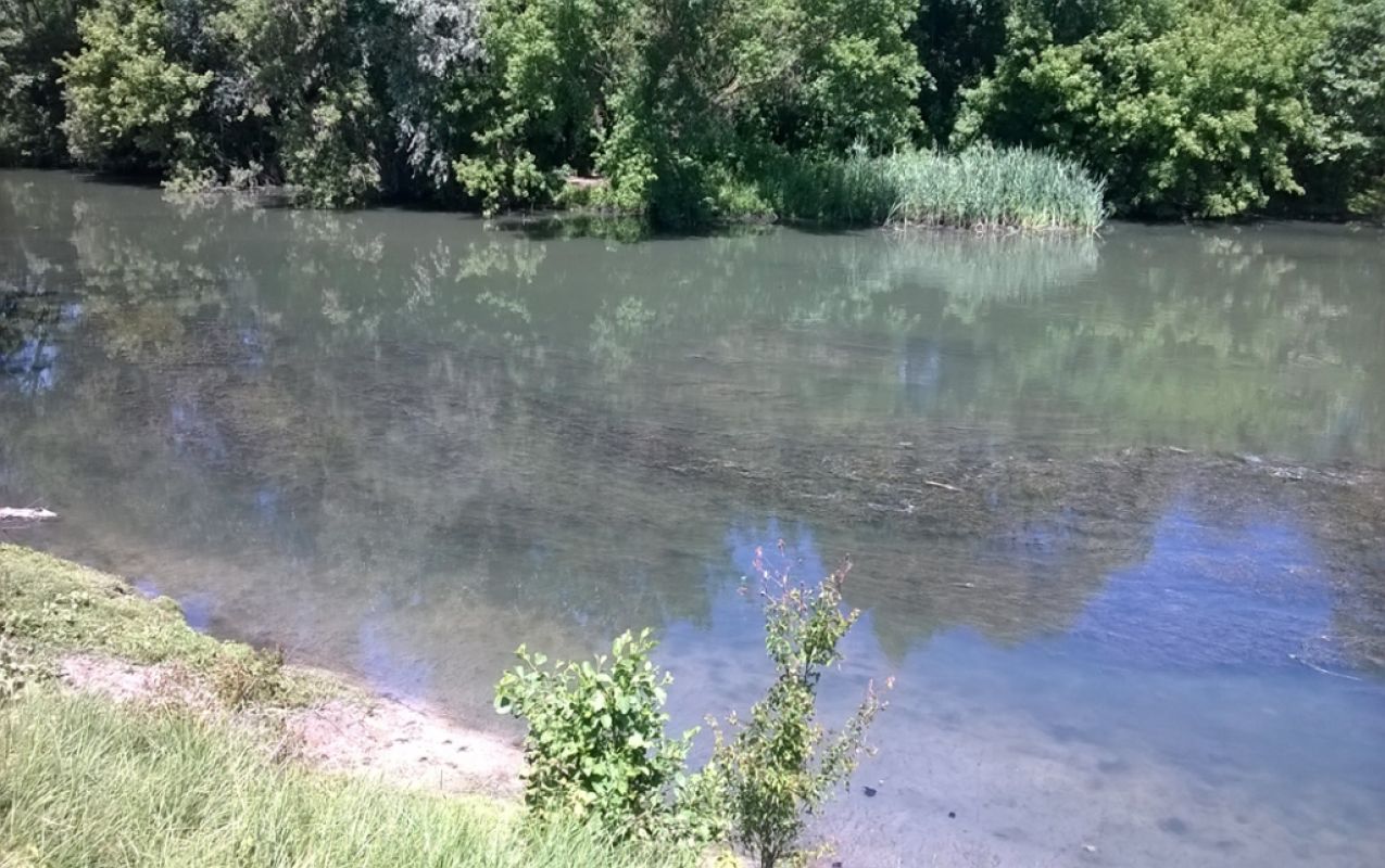 Белгородскому госпредприятию выставили счет в 127 млн рублей за ущерб реке Оскол