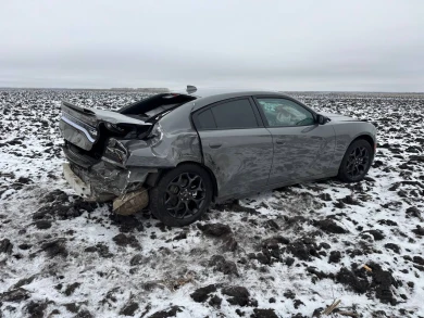 Обгон на воронежской трассе закончился аварией с двумя пострадавшими