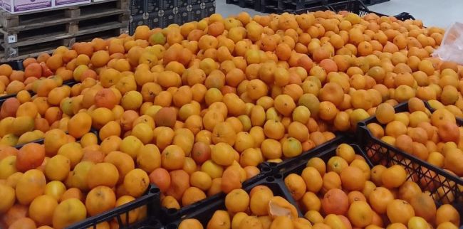 Сколько стоят мандарины перед Новым годом в Воронеже