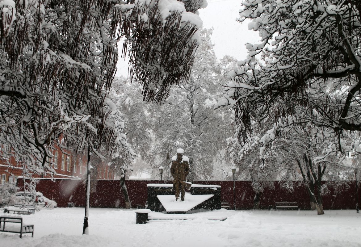 Резкое похолодание ждёт воронежцев перед&nbsp;Новым годом