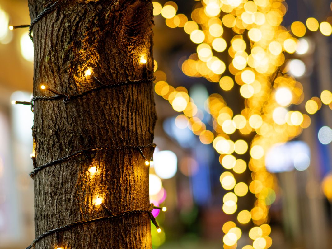 Прогноз погоды в&nbsp;Воронеже на&nbsp;воскресенье, 28 декабря