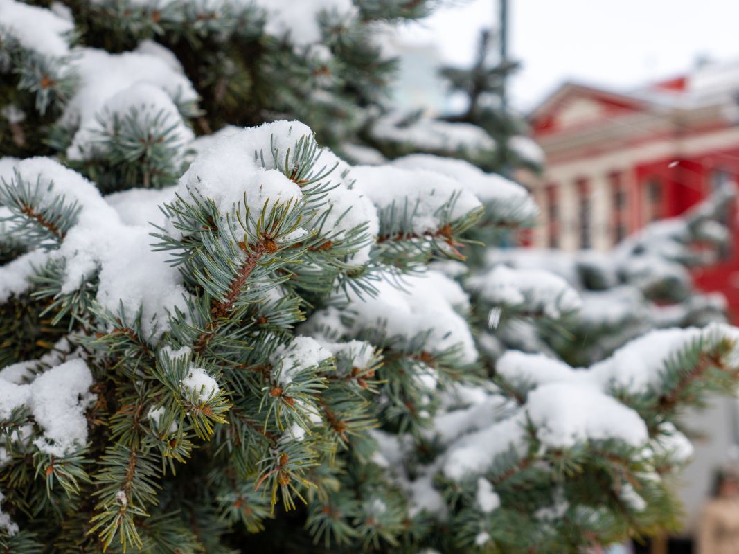 Мощные снегопады накроют Воронежскую область&nbsp;