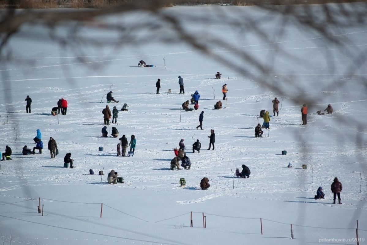 Чемпионат по рыбной ловле на мормышку пройдёт в Тамбове
